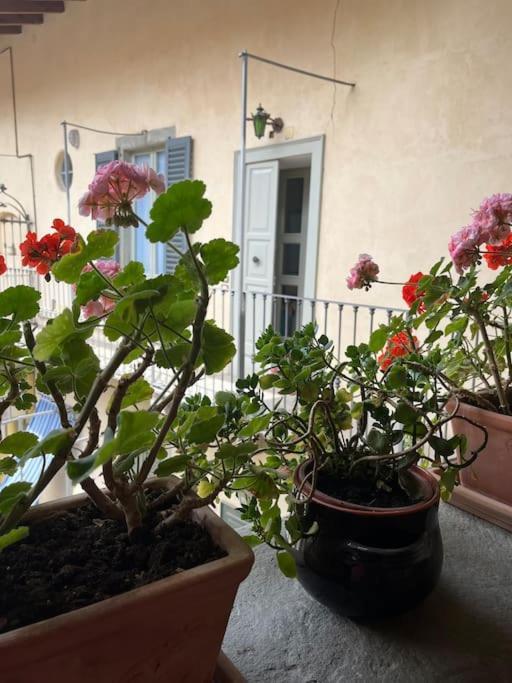 Ey Home Charme&Relax Bergame Extérieur photo